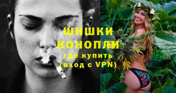 гидра Абаза