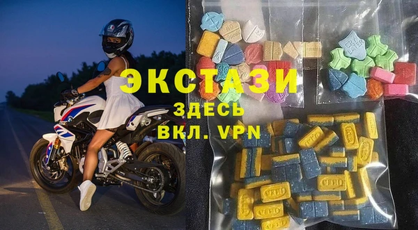 гидра Абаза