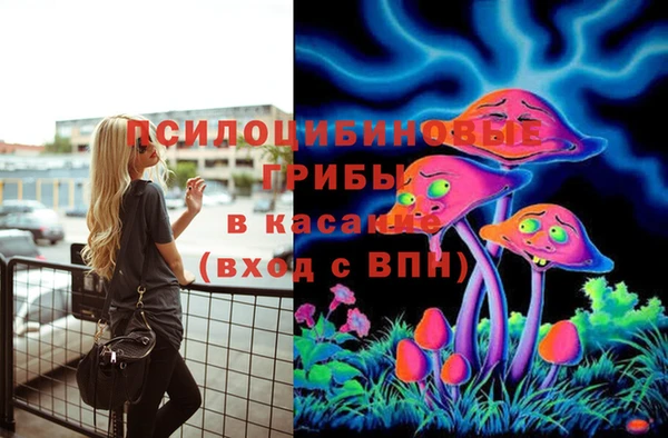 винт Покачи