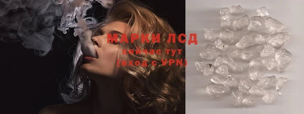 гидра Абаза