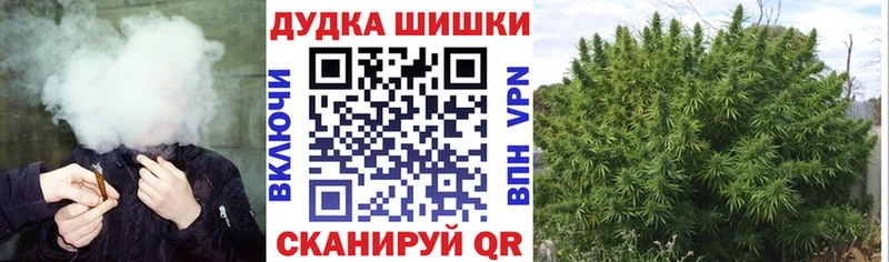 блэк спрут зеркало  Советск  это состав  Шишки марихуана White Widow 
